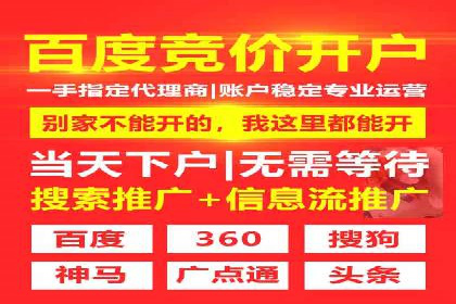 某行业SEM广告投放的创意与执行案例